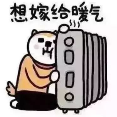 此时此刻 商小妹只想对老天爷说一句话: 降温能慢点吗?