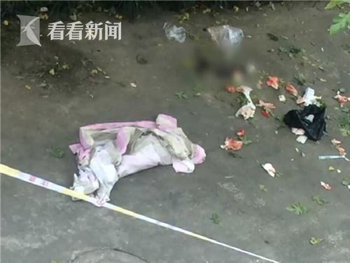 视频|技校女生在宿舍产下婴儿后扔出窗外 校方