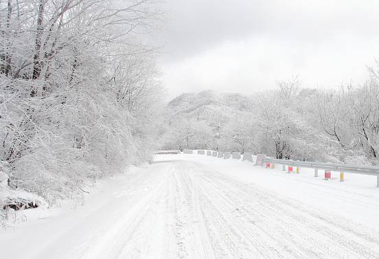 重庆这一波降温有点陡!走,穿好秋裤去看雪!|重