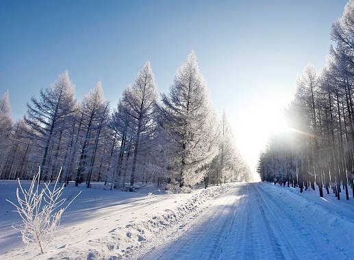 重庆这一波降温有点陡!走,穿好秋裤去看雪!|重