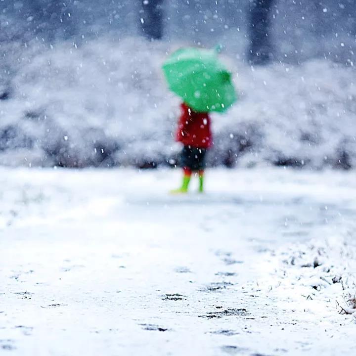 夜读 | 小雪:连朝浓雾如铺絮 已识严冬酿雪心|浓