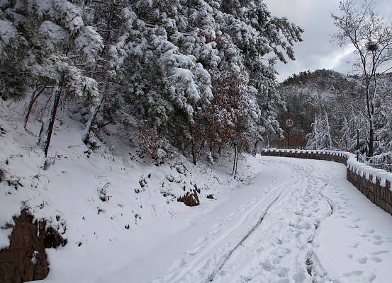 重庆这一波降温有点陡!走,穿好秋裤去看雪!|重