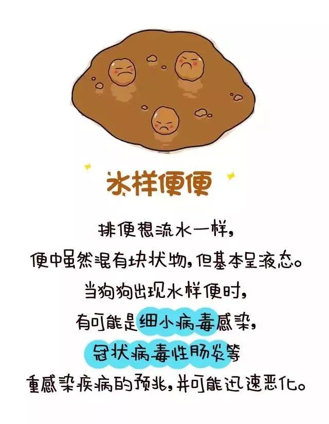 这是一条有味道的微信，看完立马去对比|狗狗|便便|遛狗_新浪新闻