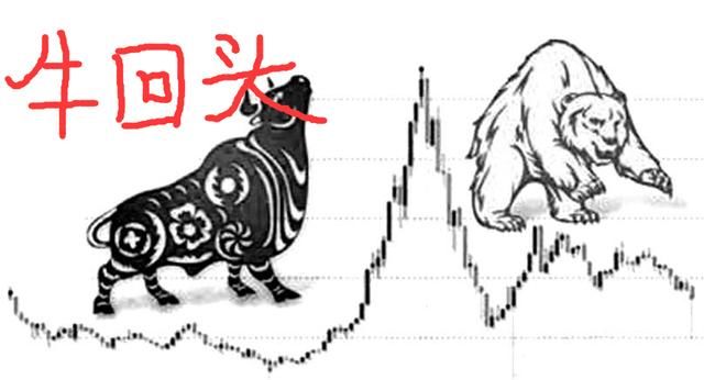 股市必读股市资讯官网_今日大盘行情分析+热门牛股推荐_股民必看的投资指南：中通客车（000957）7月24日披露最新机构调研信息