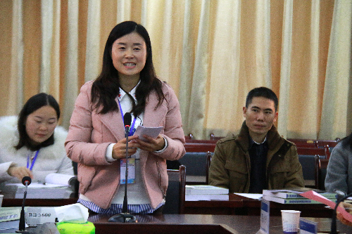 坚守文化自信 振兴民族工艺 2017年民族工艺品