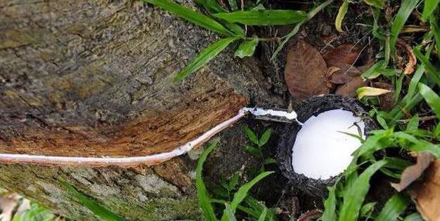 价!11月中旬起停限产6省扩至8省34市,18年1月