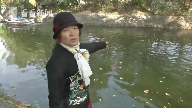 视频|广场舞大妈跳湖救人 女英雄睡了一天一