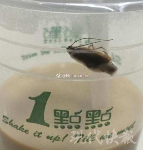 1点点奶茶被曝喝出蟑螂?商家:加热后虫子应该