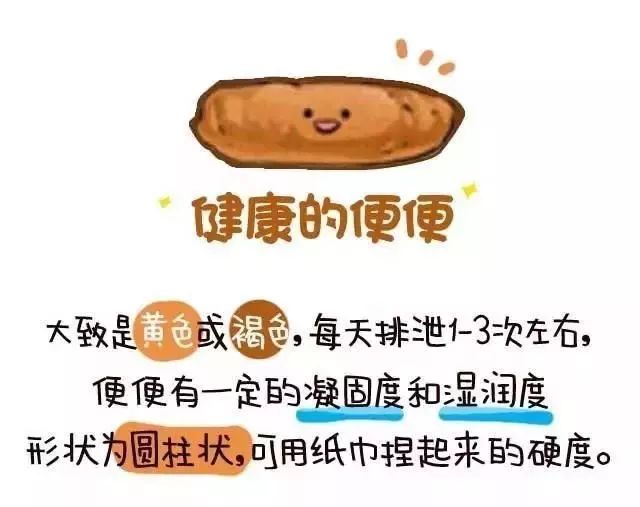 这是一条有味道的微信，看完立马去对比|狗狗|便便|遛狗_新浪新闻