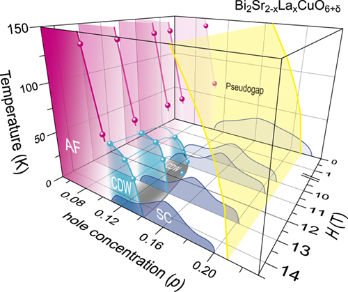 物理所等在铜基高温超导体中发现新颖电荷有序