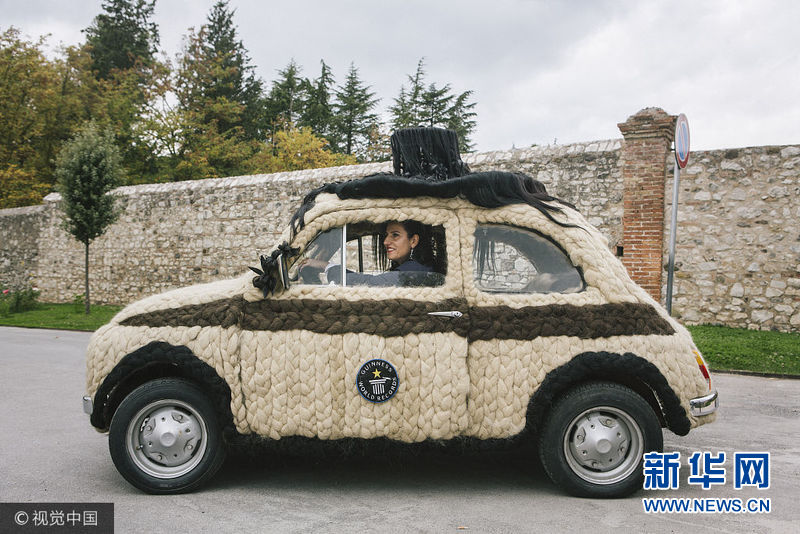 意造型师为爱车打造时尚发型 耗100公斤头发