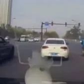 野马跑车居然跑不过大众？ 这让野马脸往哪放！