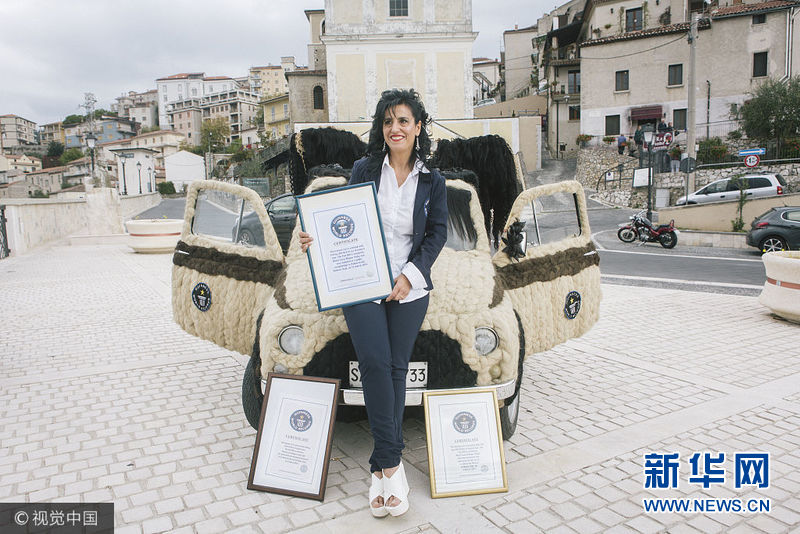 意造型师为爱车打造时尚发型 耗100公斤头发