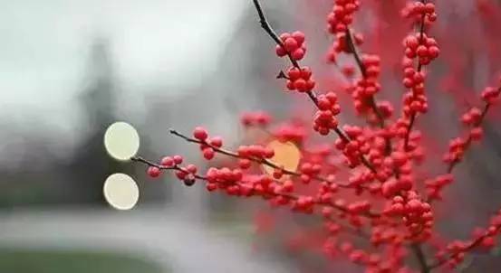 2017最伤感情歌《等你》,送给心中忘不了的人