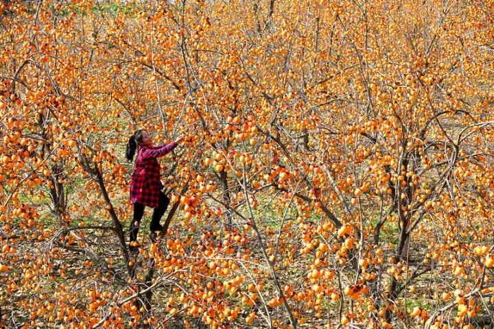 别人一睁眼是赚钱养家,他一睁眼有10个家要养