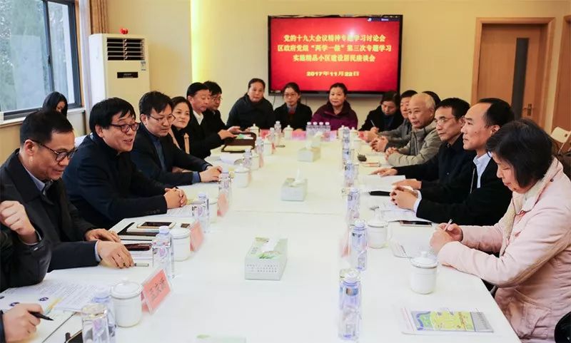 区政府党组召开党的十九大会议精神专题学习讨