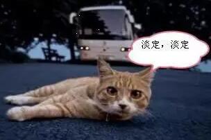 又有两股冷空气来,气温再创新低!但专家预测,今