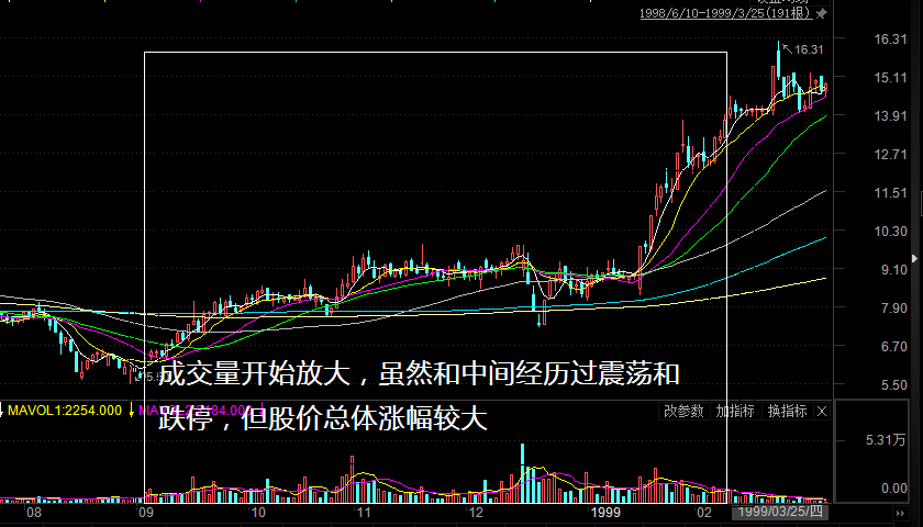 虚假的股市神话——亿安科技股票操纵始末