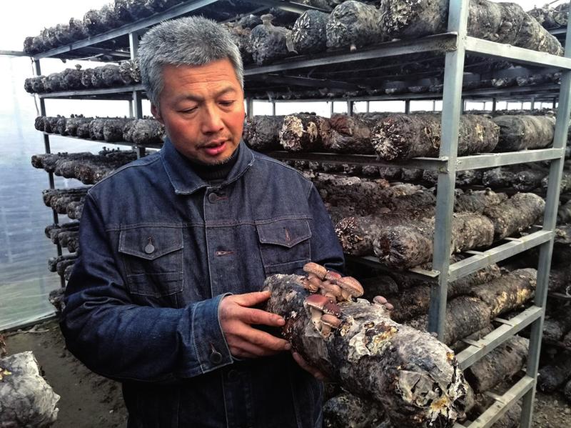 商南县有多少人口_商南县地图