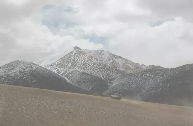 追寻青藏高原的黄金神兽|野牦牛|西藏|高原