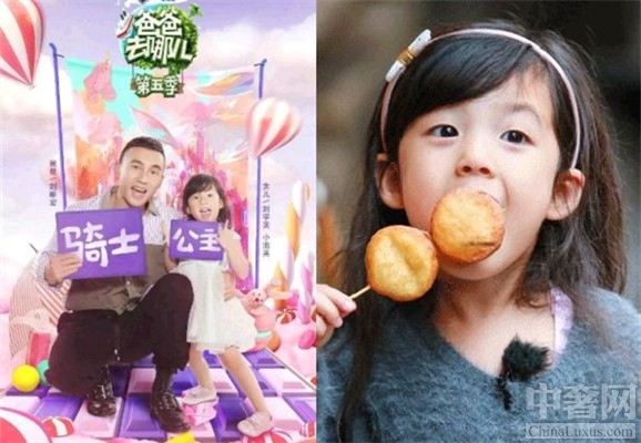 小泡芙被称“团宠” 甜美外貌让人爱