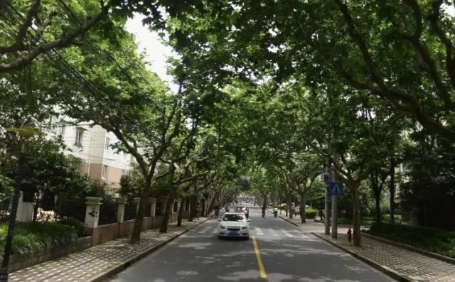 聊聊最能代表上海社区的那些新村，耳熟能详，一定有你住过的！