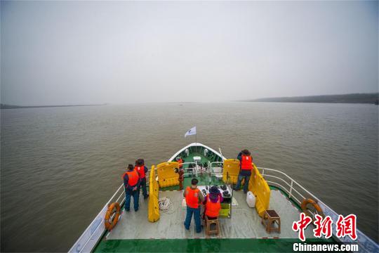 武汉至宜昌江段2017年长江江豚生态科学考察