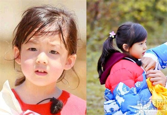 小泡芙被称“团宠” 甜美外貌让人爱