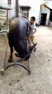 蚂蚁花呗借呗额度不够用?这样使用支付宝让你