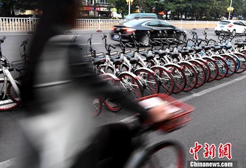 福州市民骑着共享单车出行。中新社记者 张斌 摄