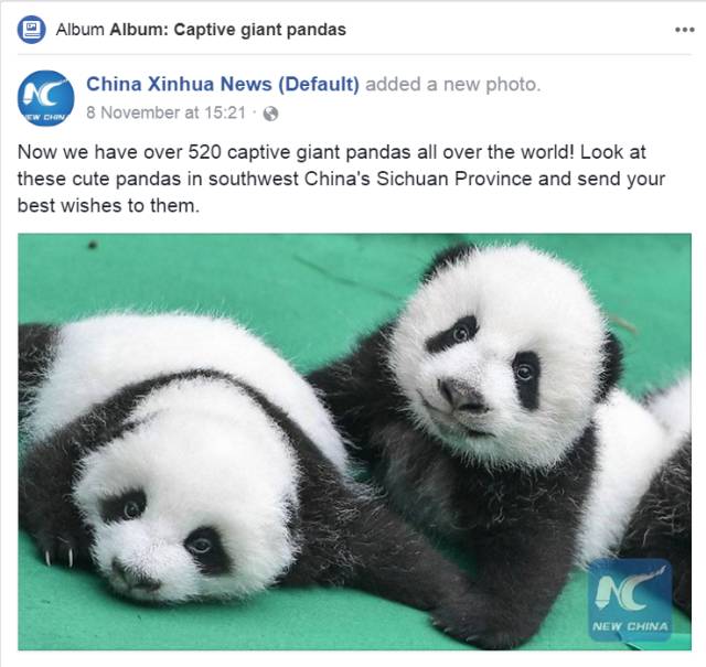 新华社大熊猫报道海媒截图&uarr;