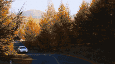 400_222 gif 动态图 动图