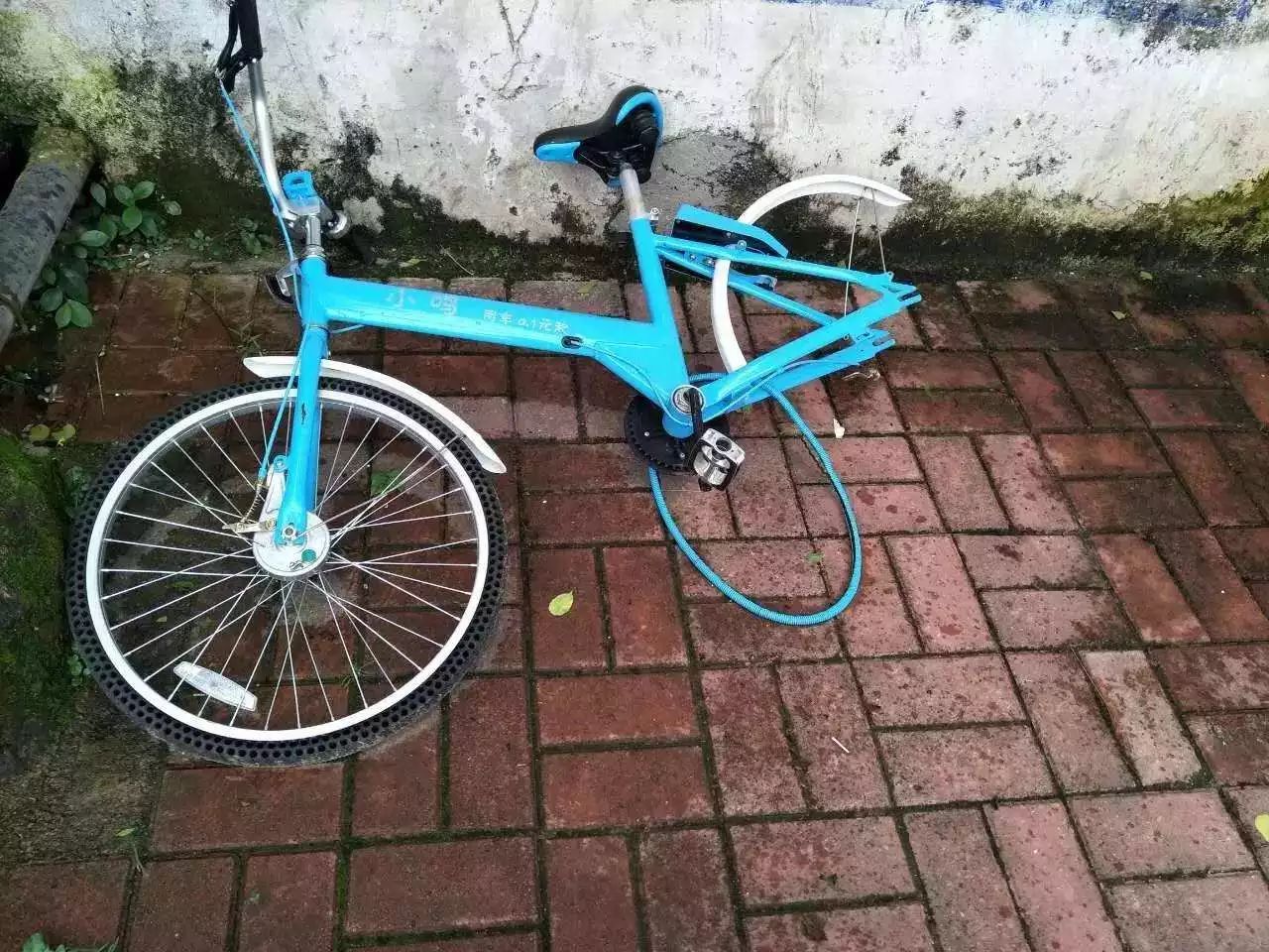 又一共享单车倒下:小鸣，你还好吗|融资|凯路仕|裁员_新浪科技_新浪网