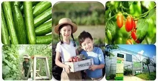 90%的人不知道!贵州这些地方除了美景,还有这