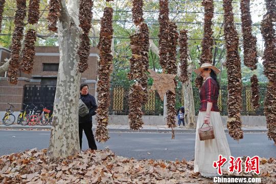 落叶艺术“点亮”上海街头