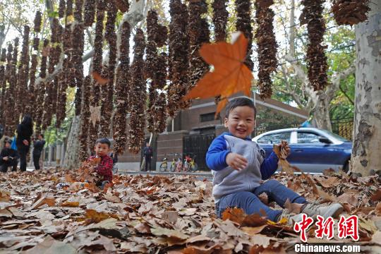 落叶艺术“点亮”上海街头