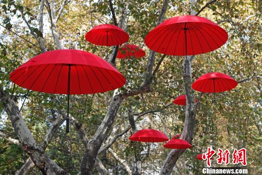 落叶艺术“点亮”上海街头