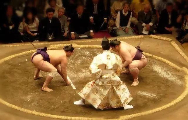 日本众多美女为何情愿嫁给巨肥相扑运动员?