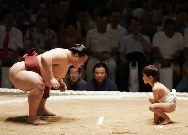 日本众多美女为何情愿嫁给巨肥相扑运动员?