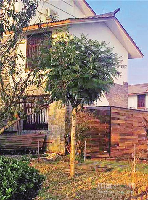 经济日报调研:探寻乡村振兴之路(上篇)|大丰|旅