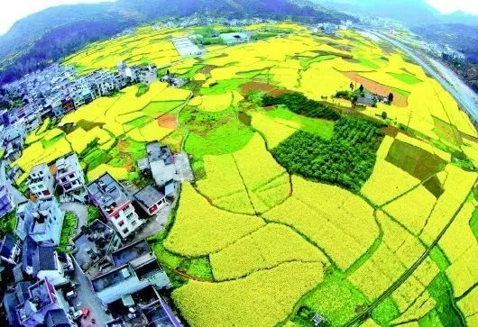 印江石灰溪总人口_印江朗溪中学照片