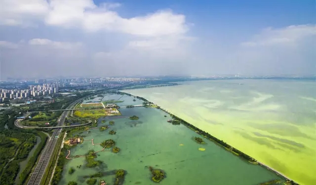 太湖的蓝藻问题，真的改善了吗？专家这样说……