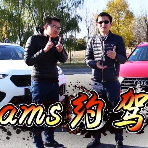 ams约驾丨WEY VV7 PK 奥迪Q3