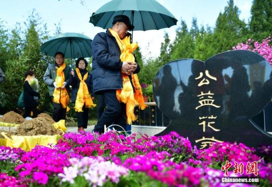 质料图:在河北平山县古中山陵园生态节地葬区,20个家庭在此举办了免费集团花葬和树葬仪式。记者 翟羽佳 摄 质料图:在河北平山县古中山陵园生态节地葬区,20个家庭在此举办了免费集团花葬和树葬仪式。中新社记者 翟羽佳 摄