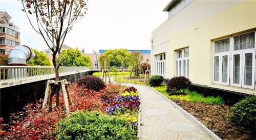 平方米立体绿化 闵行区给孩子们打造的空中绿