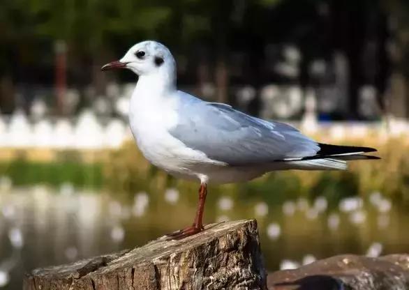 改革开放40年 数据告诉你丨云南人民收入、消