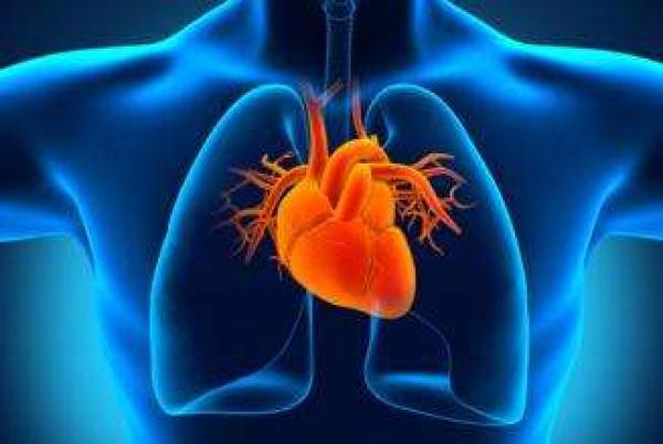 心血管疾病是中国人头号死因,专家:预防、康复应与治疗并重