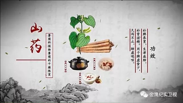 《本草中国》▏你的那杯养生茶喝对了吗?