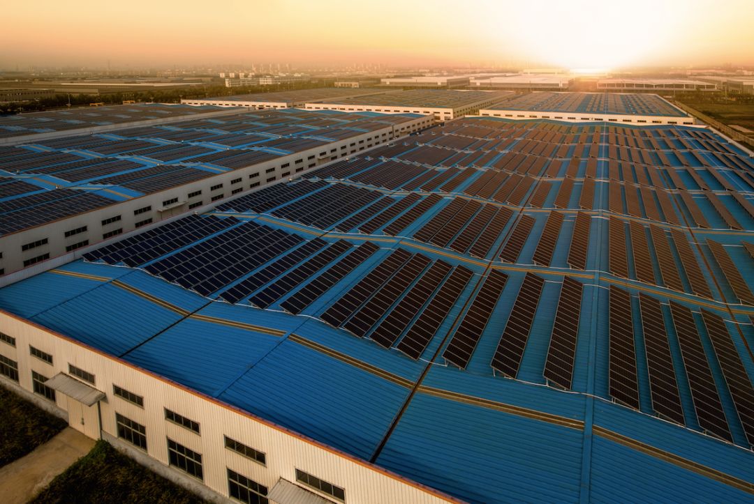 吉林省通榆咱家15兆瓦禽光互补电站。来源：被访者提供