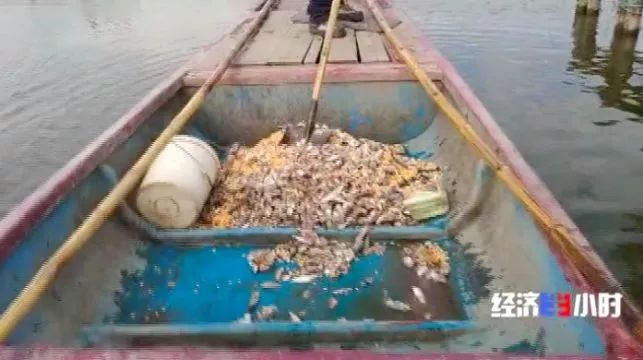 www.817558.com-国外彩色复式公寓,就连令人讨厌的柱子都能变成家里的亮点